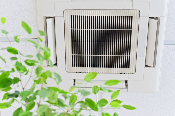 Best Home Air Vent Cleaning  in Timberwood Park, TX